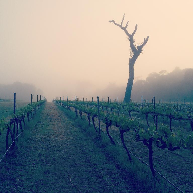 Island Brook Estate Winery And Chalets Margaret River Extérieur photo