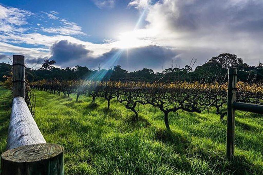 Island Brook Estate Winery And Chalets Margaret River Extérieur photo