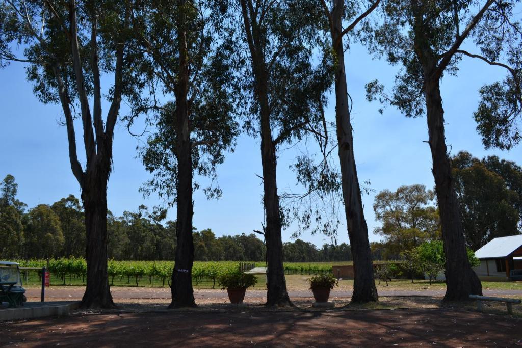 Island Brook Estate Winery And Chalets Margaret River Extérieur photo